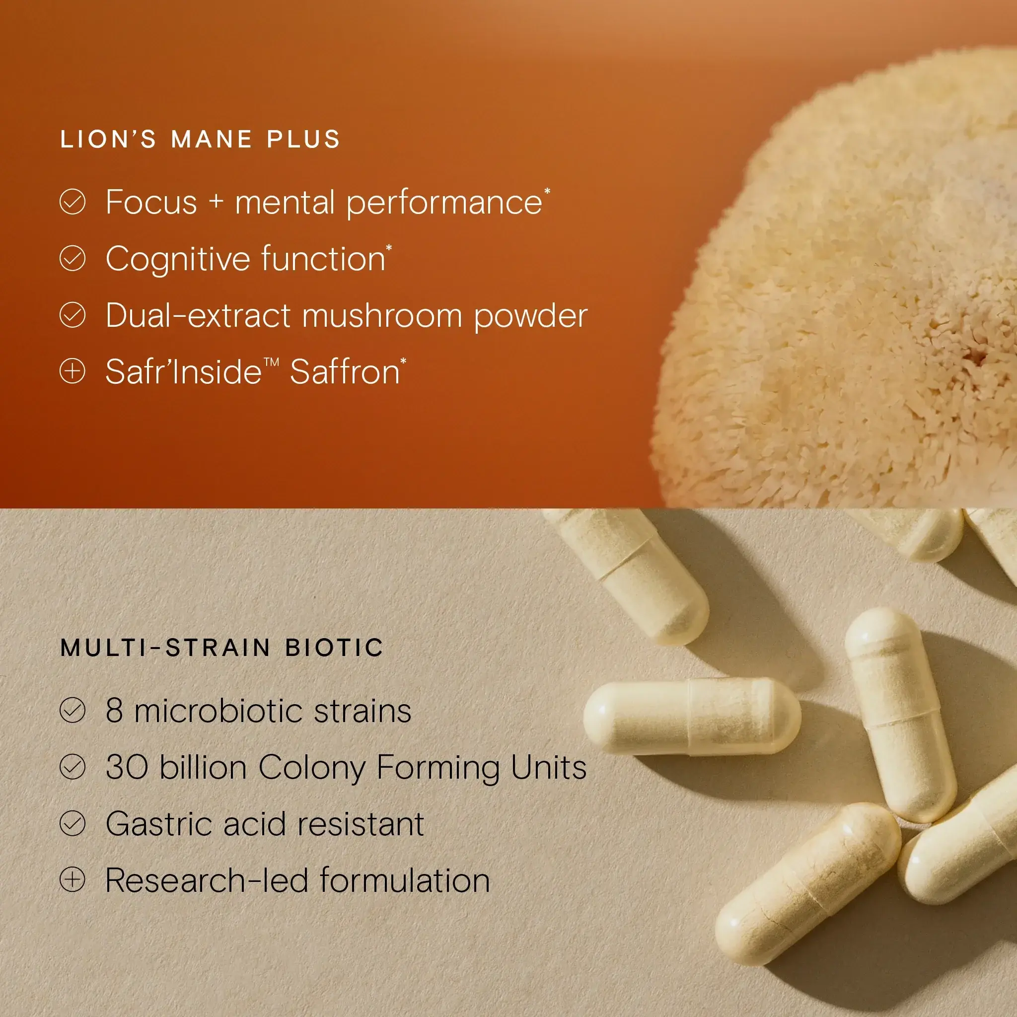 Lion's Mane Mushroom Capsules Lion's Mane Mushroom Capsules