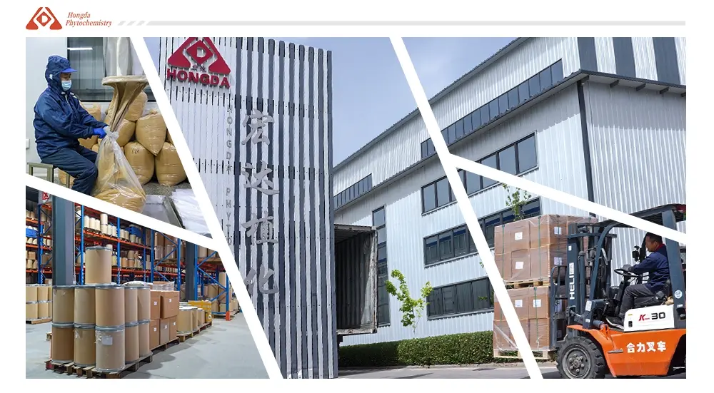 shaanxi hongda's lpackaging