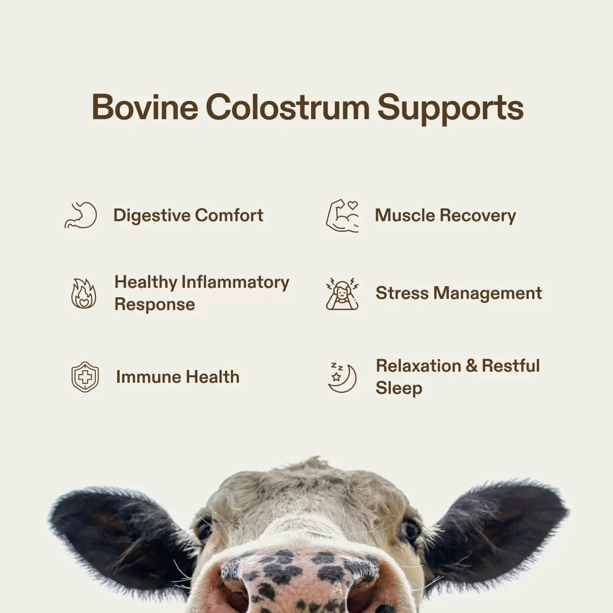  Bovine Colostrum benefits