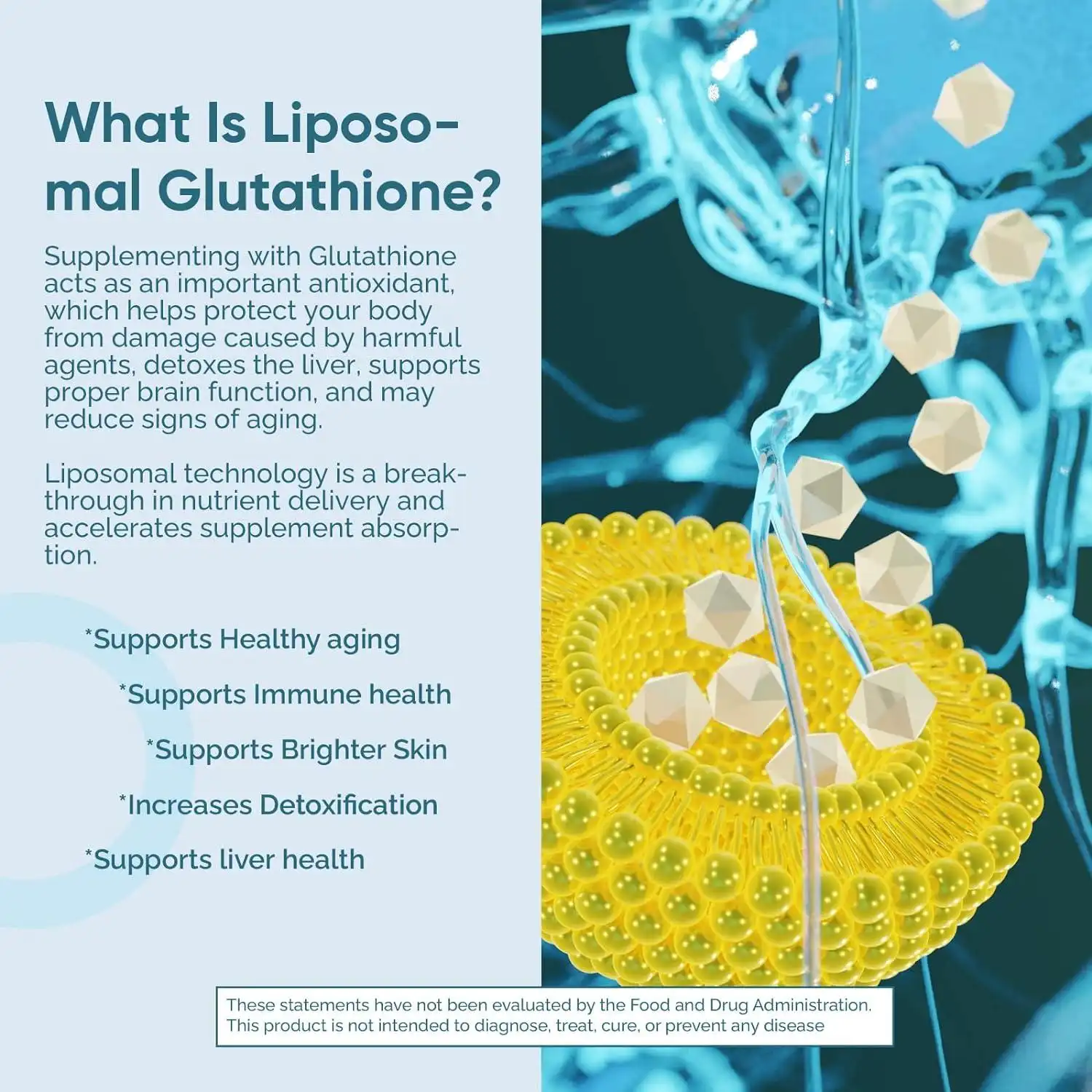 Liposomal Glutathione Powder and Its Role in Detox Support Liposomal Glutathione Powder and Its Role in Detox Support