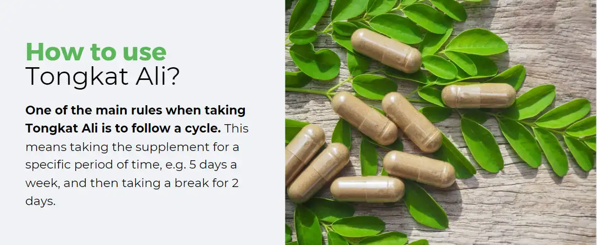 hot to take tongkat ali extract capsules