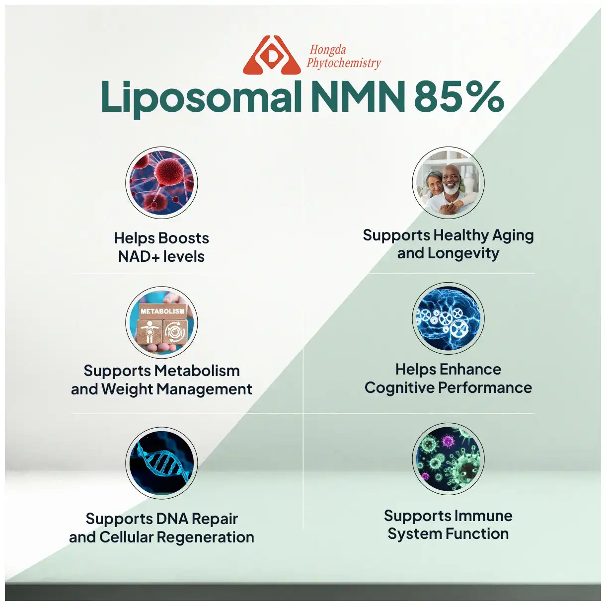 Liposomal NMN Powder benefits 
