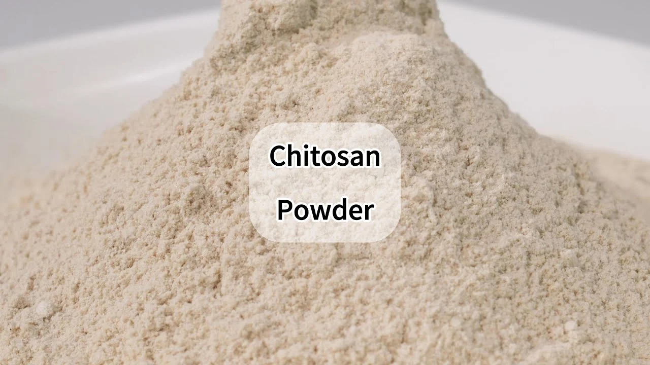 chitosan powder 