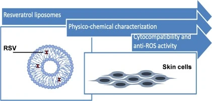 Liposomal Resveratrol Powder and Its Role in Skin Health Liposomal Resveratrol Powder and Its Role in Skin Health