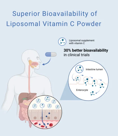 Liposomal Vitamin C Powder Liposomal Vitamin C Powder