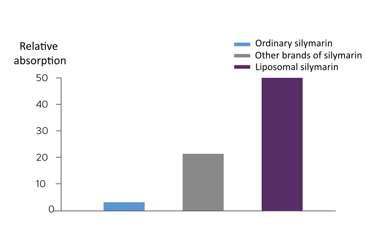 Liposomal Silymarin Powder 