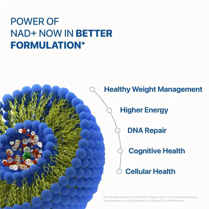 Benefits of Liposomal NMN Powder