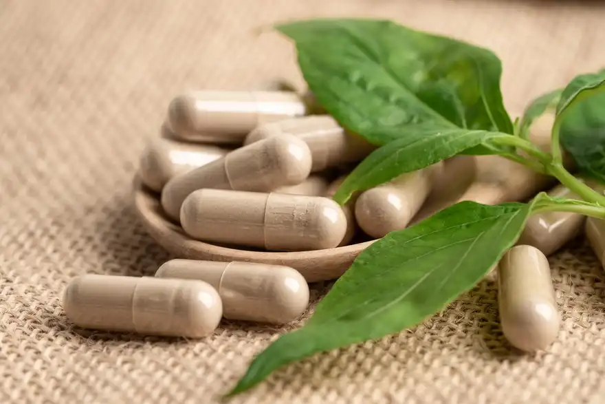Ashwagandha Root Extract Capsules Ashwagandha Root Extract Capsules