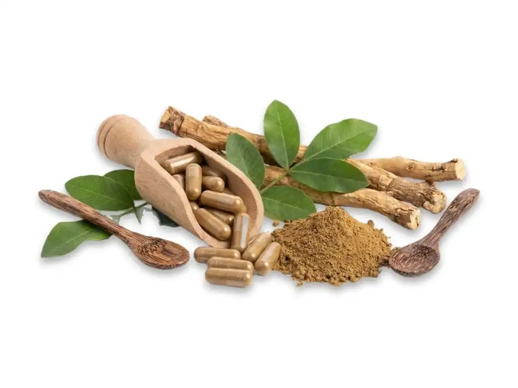 Tongkat Ali Extract Capsules Tongkat Ali Extract Capsules
