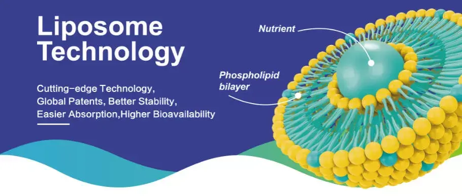 Liposomal Resveratrol Powder Supplier