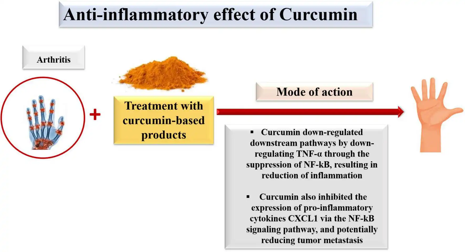 Liposomal Curcumin Powder and Its Anti-Inflammatory Benefits Liposomal Curcumin Powder and Its Anti-Inflammatory Benefits