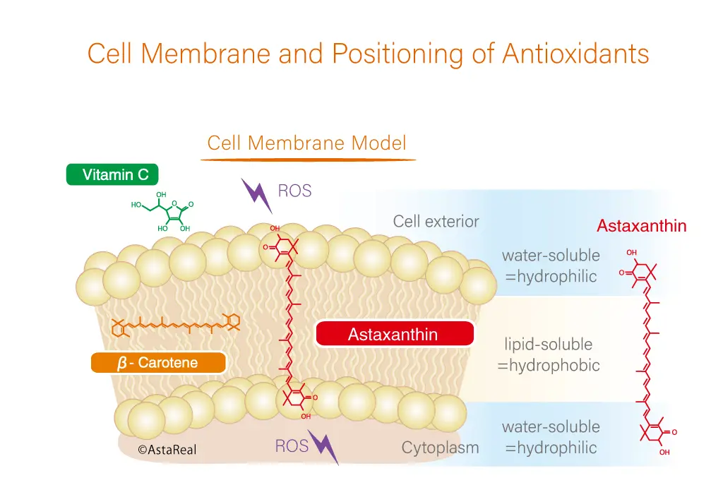 blog-1-1 blog-1-1