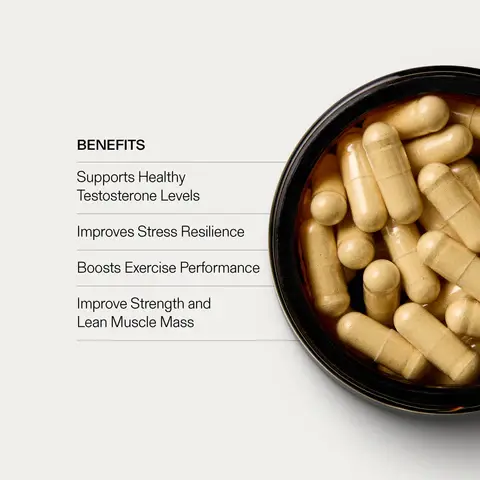 tongkat ali extract capsules benefits tongkat ali extract capsules benefits