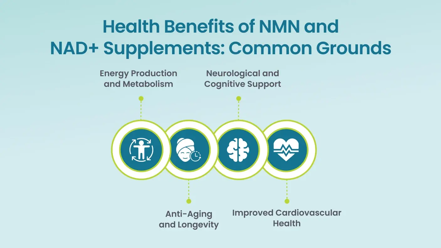 Liposomal NMN Powder Liposomal NMN Powder