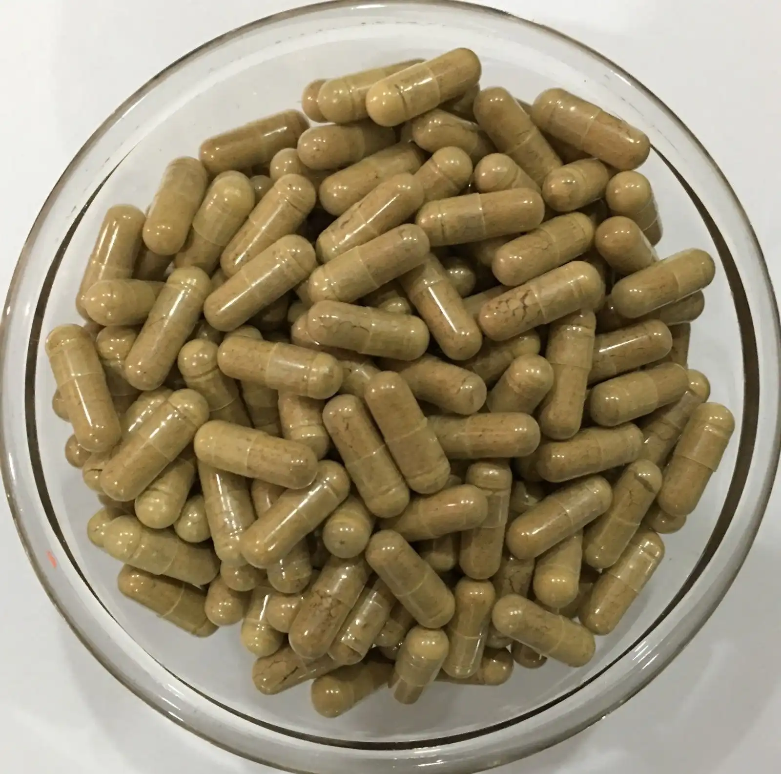 Milk Seed Thistle Extract Capsules 