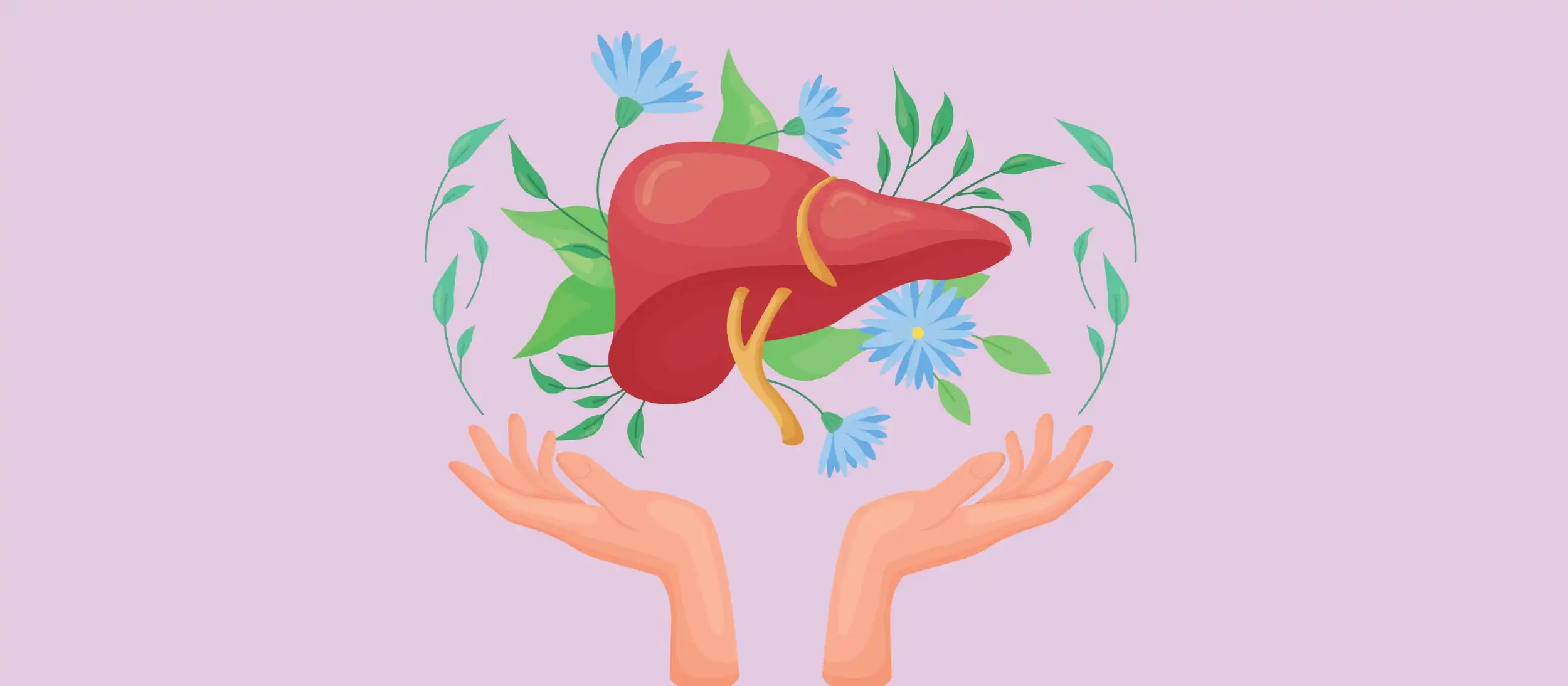 Milk Thistle Seed Extract Capsules and Liver Health Milk Thistle Seed Extract Capsules and Liver Health