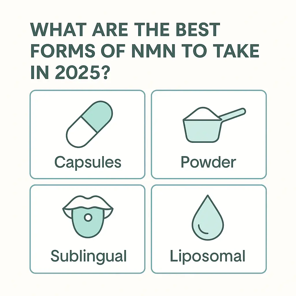 Liposomal NMN Powder vs. Other NMN Delivery Forms Liposomal NMN Powder vs. Other NMN Delivery Forms