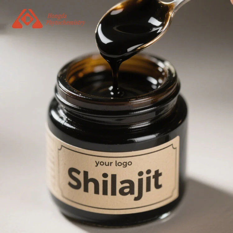 Shilajit Extract 