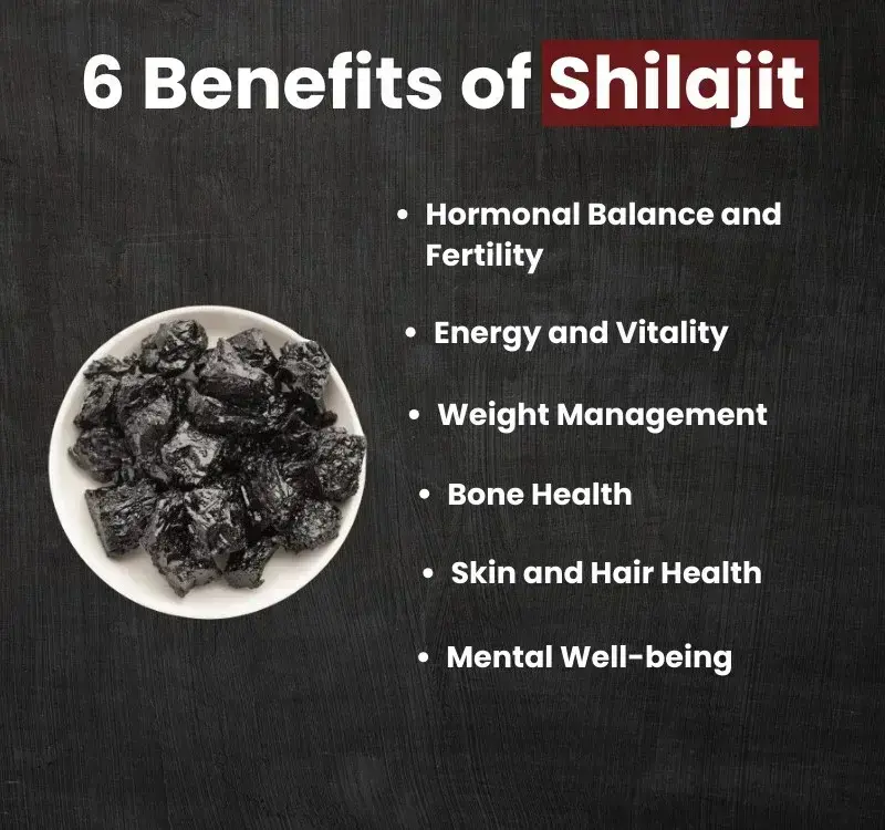 Shilajit Extract Powder Benefits 