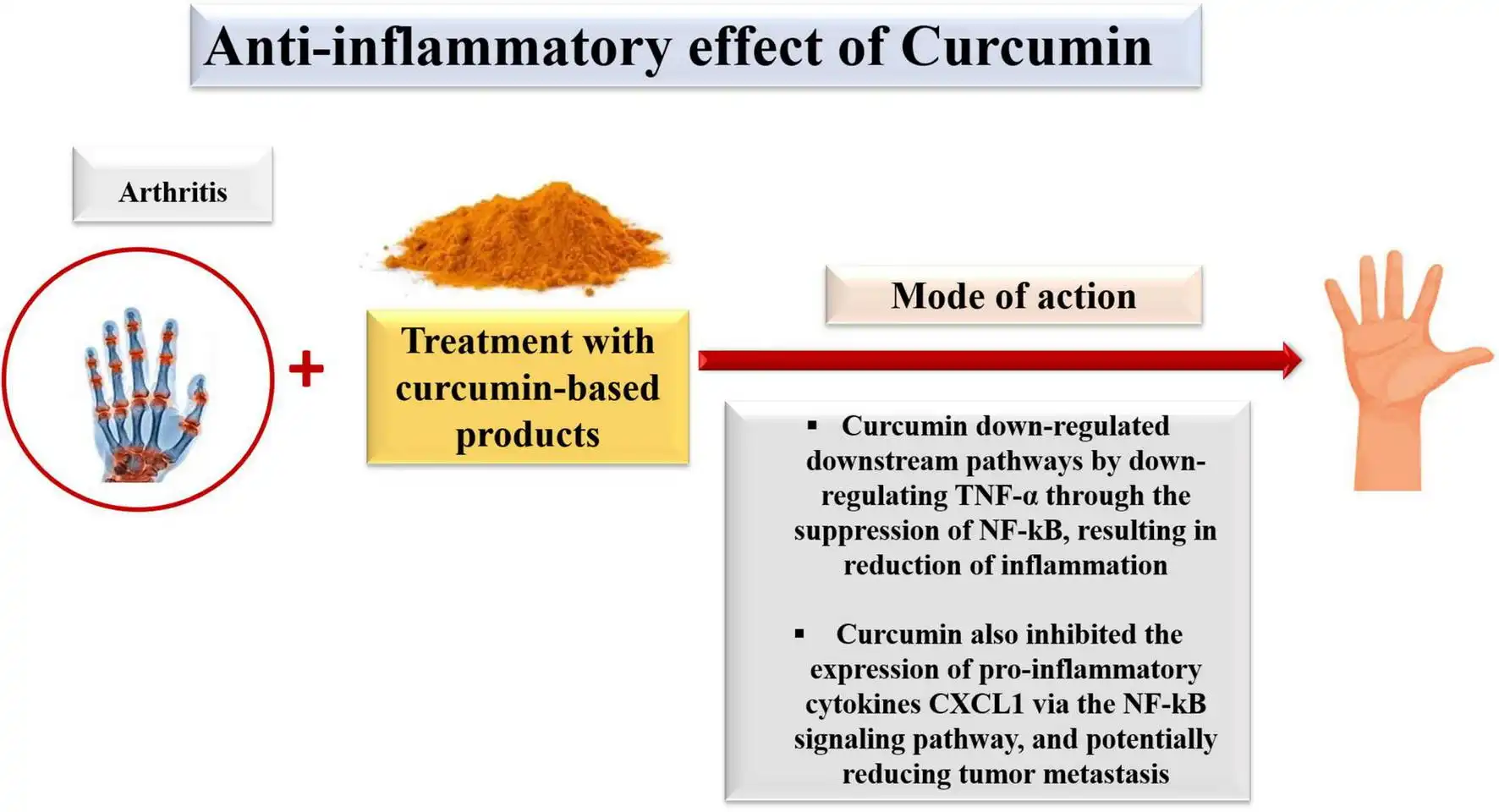 Liposomal Curcumin Powder in Inflammation Liposomal Curcumin Powder in Inflammation