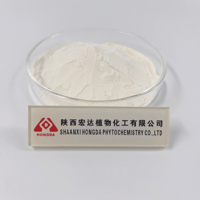 apple cider vnegar powder apple cider vnegar powder