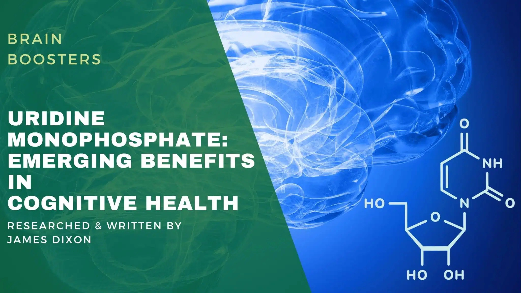 Uridine 5 Monophosphate Disodium Salt Application