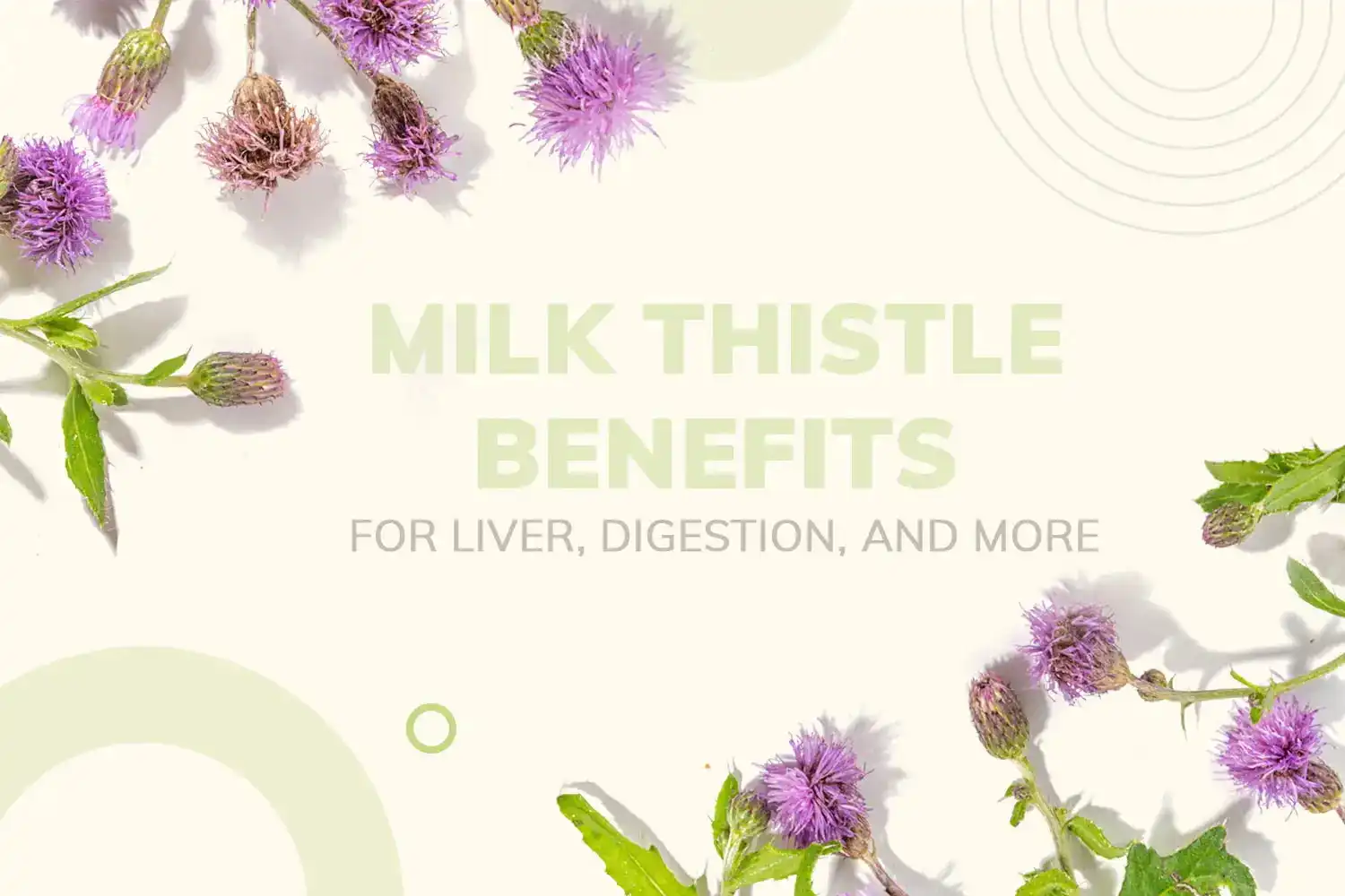 Liposomal Silymarin Powder For Liver
