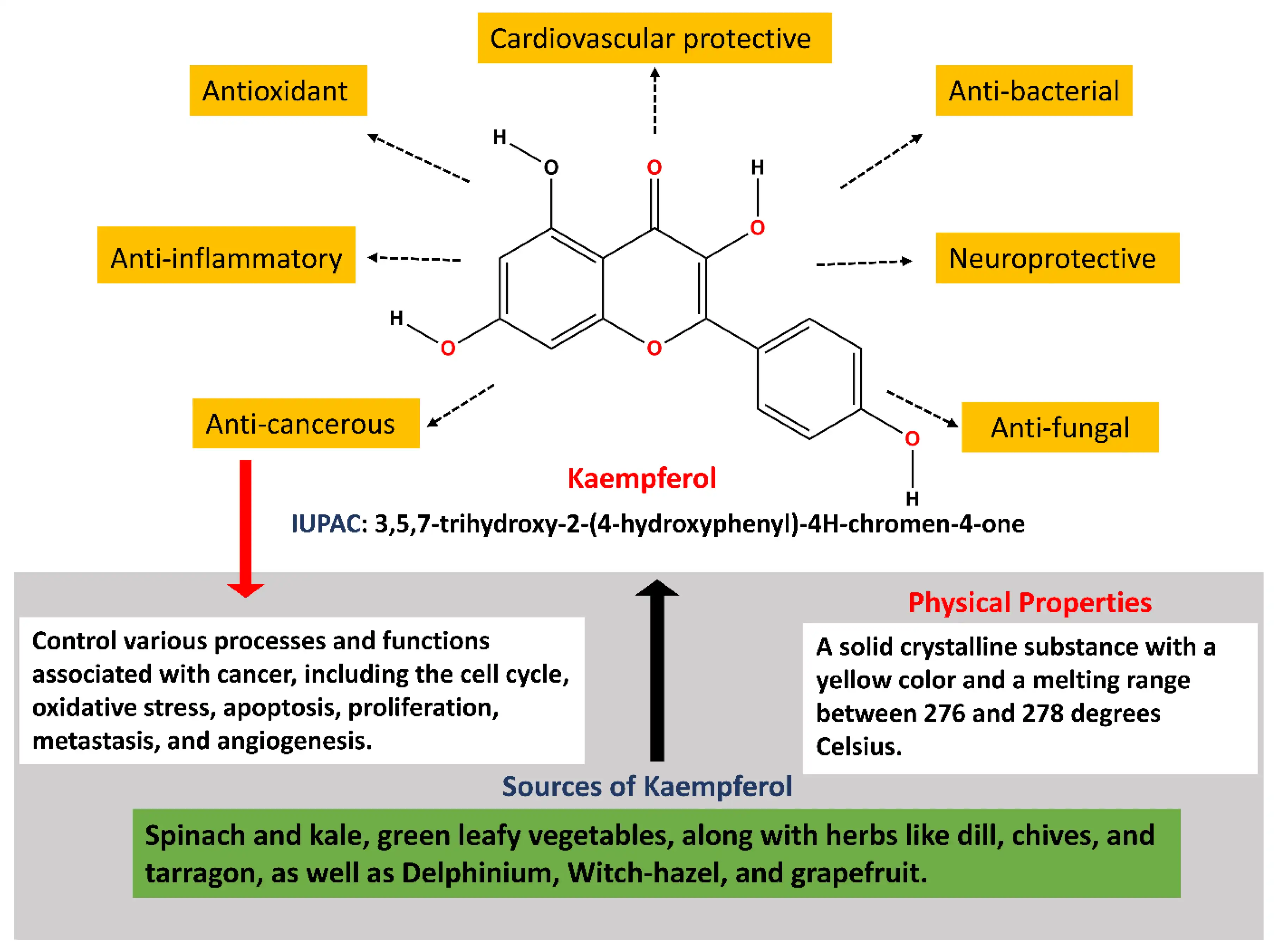Kaempferol Extract and Its Antioxidant Benefits Kaempferol Extract and Its Antioxidant Benefits