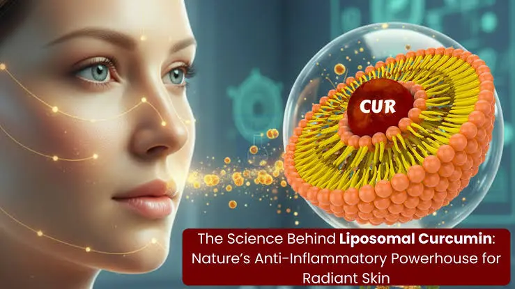 How Liposomal Curcumin Powder Enhances Absorption