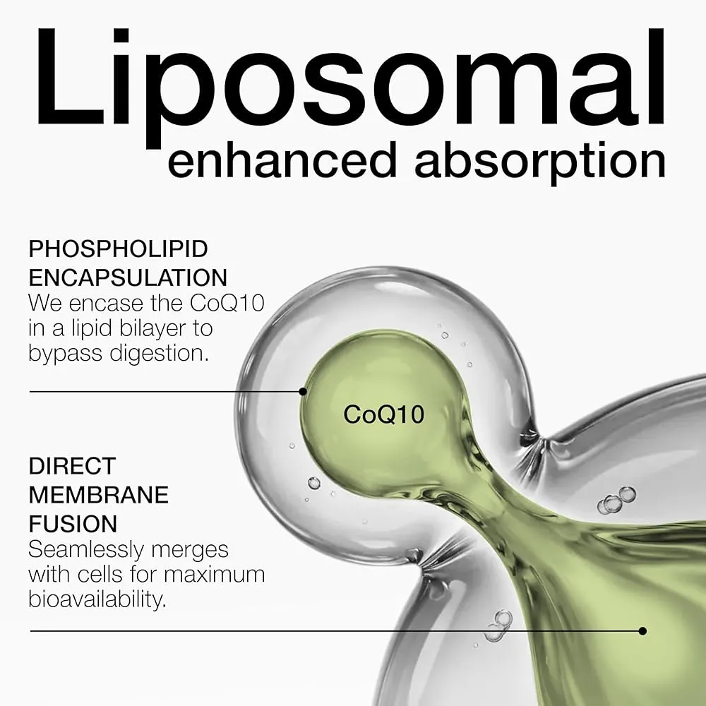 Liposomal Coq 10 powder manufacturer