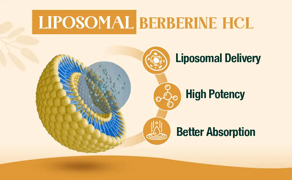 Liposomal berberine powder