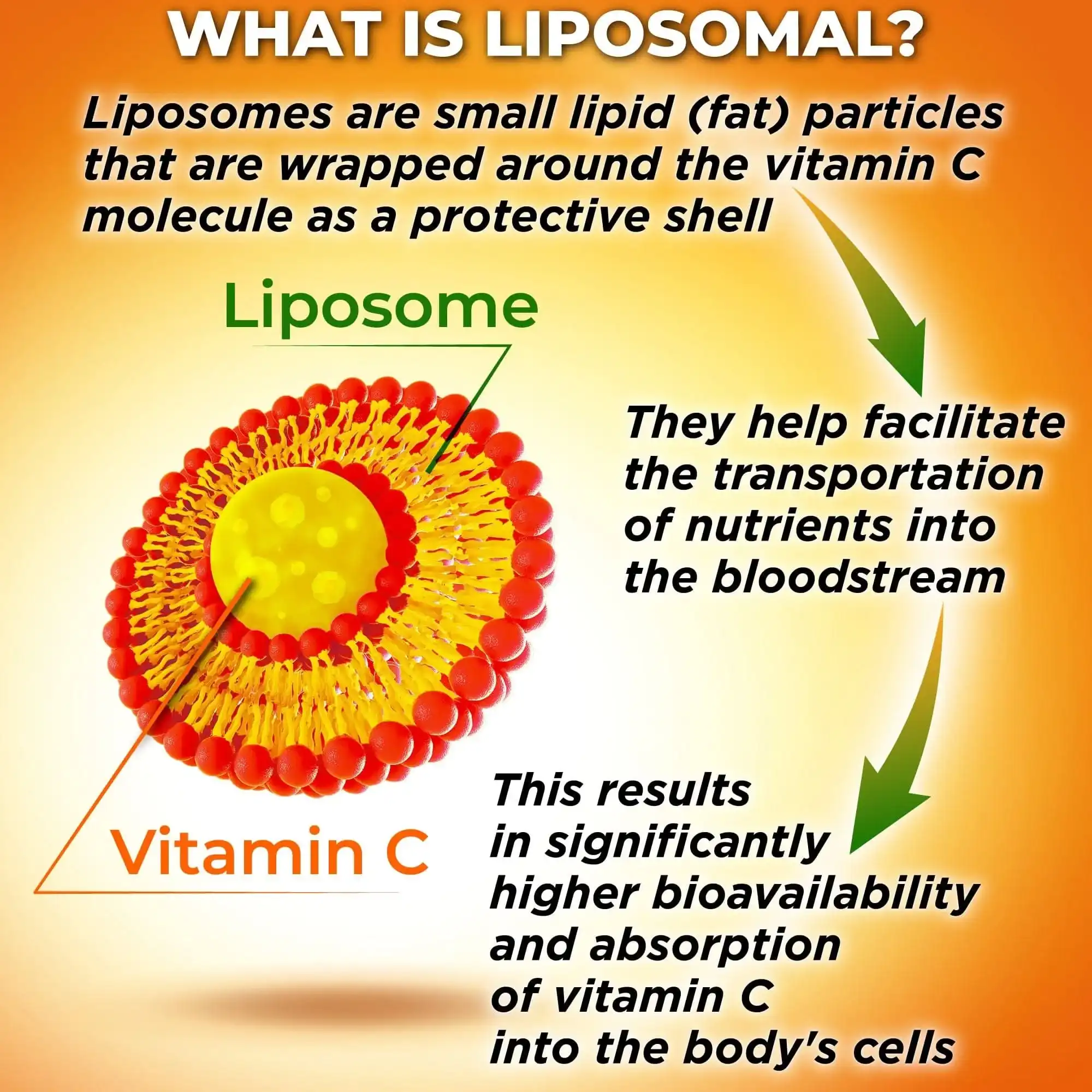 Liposomal Vitamin C powder