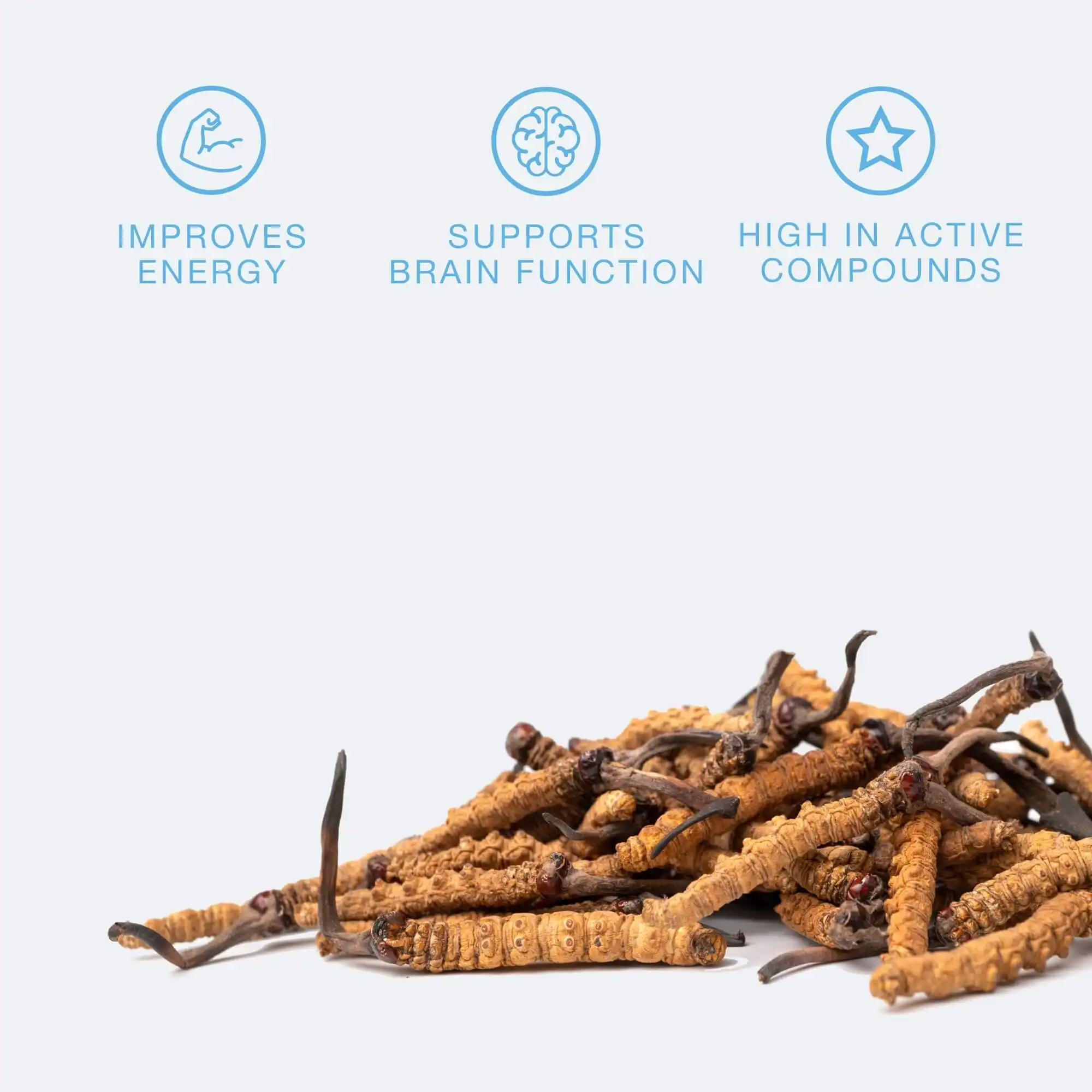 Cordyceps Sinensis Powder and Its Athletic Benefits
