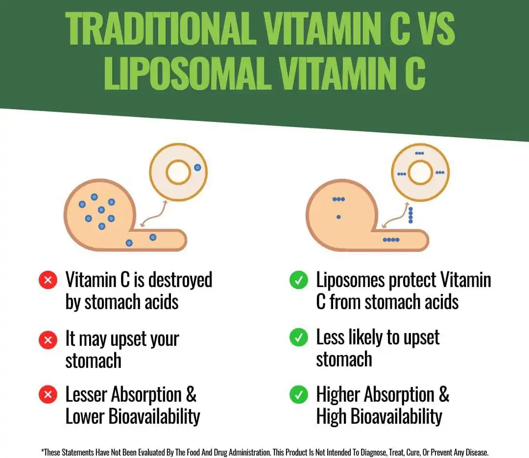 Liposomal Vitamin C vs vitamin c Liposomal Vitamin C vs vitamin c