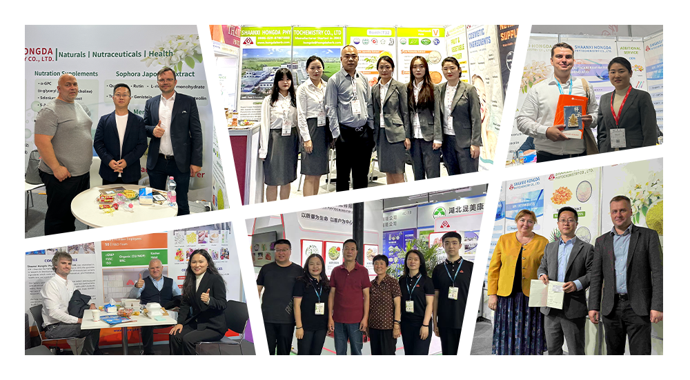 Exhibitions