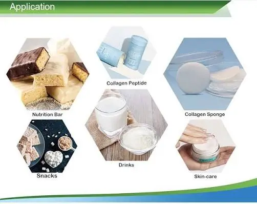 Bovine Collagen Peptides application