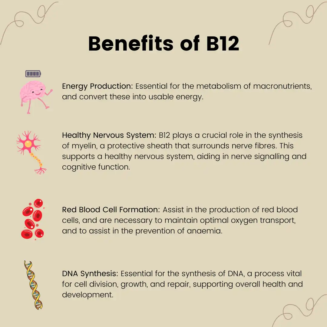 Vitamin B12 Benefits Vitamin B12 Benefits
