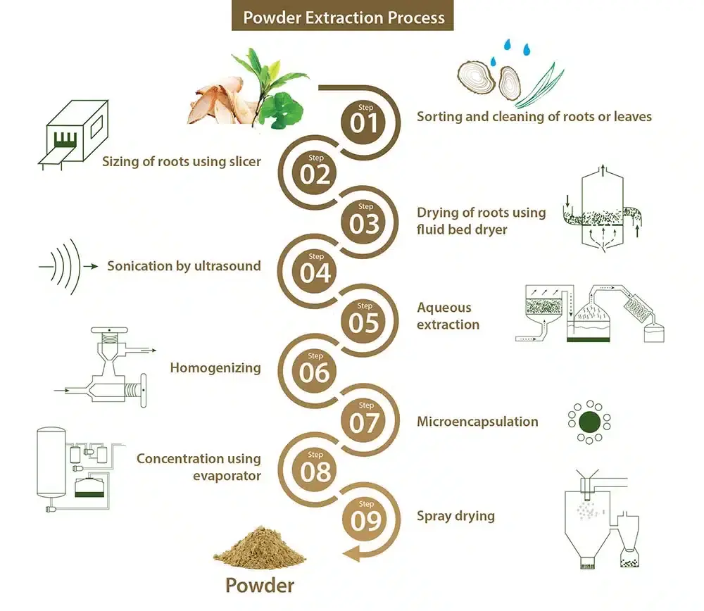 Tongkat ali extract production process