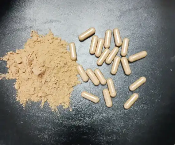 Lion's mane mushroom capsules