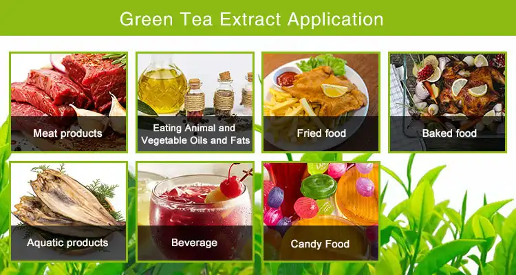 Green tea extract powder application Green tea extract powder application