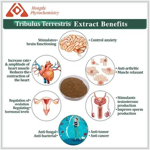 Tribulus Terrestris Powder Benefits