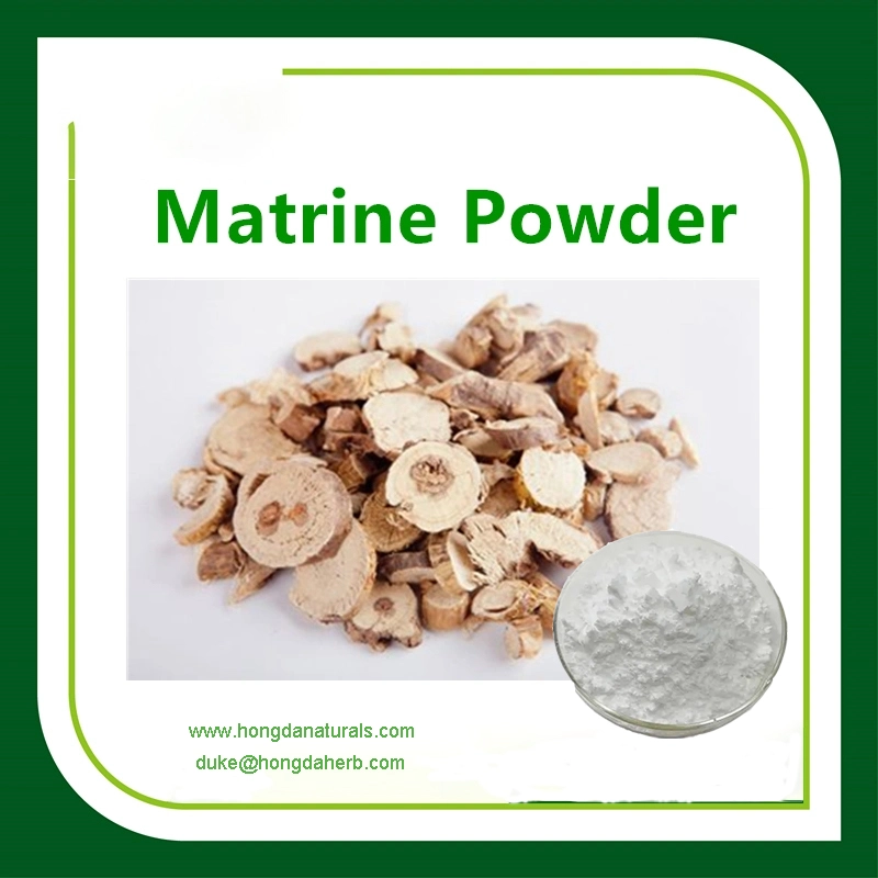 Poudre Matrine Poudre Matrine