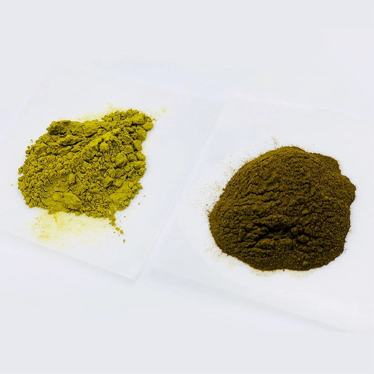 Hops Flower Powder Hops Flower Powder