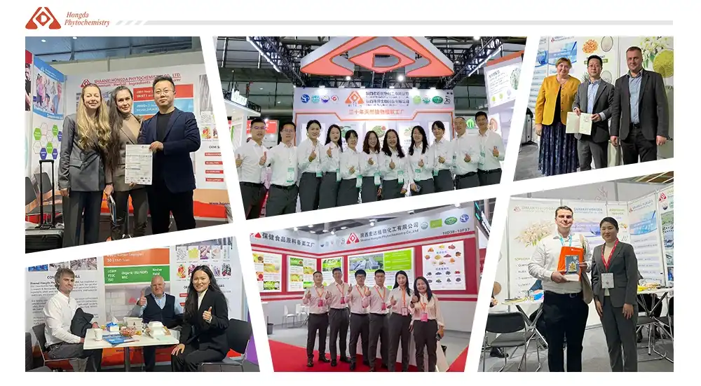 Exhibitions