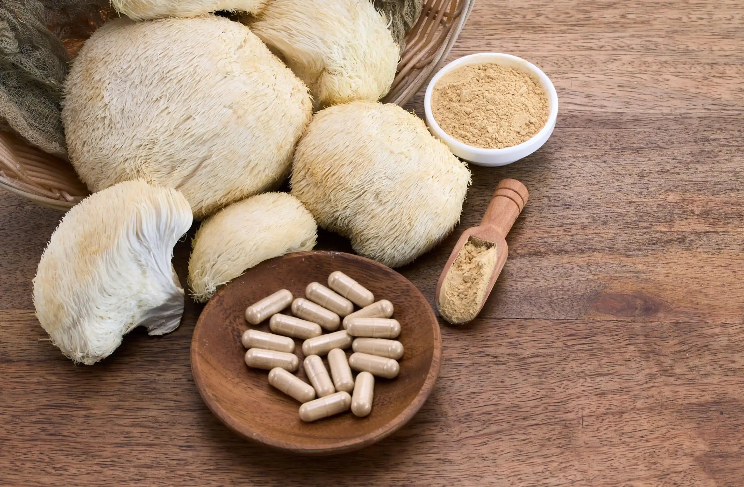 Lion's mane mushroom capsules