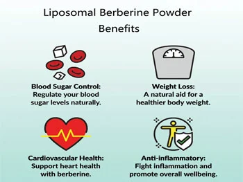 Liposomal berberine benefits 