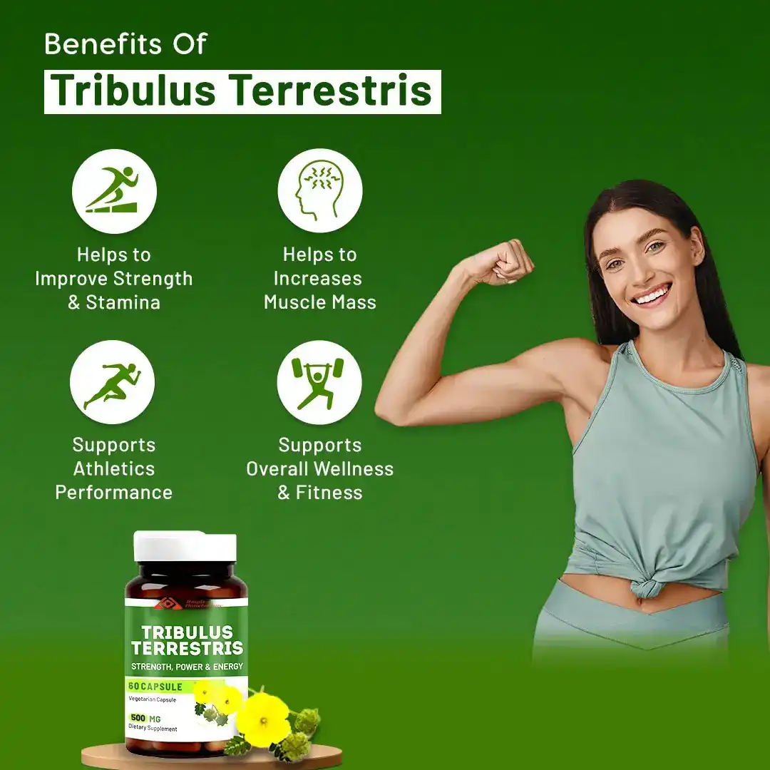 Tribulus terrestris capsules benefits 
