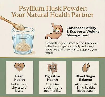 Psyllium Husk Powder and Its Digestive Benefits Psyllium Husk Powder and Its Digestive Benefits