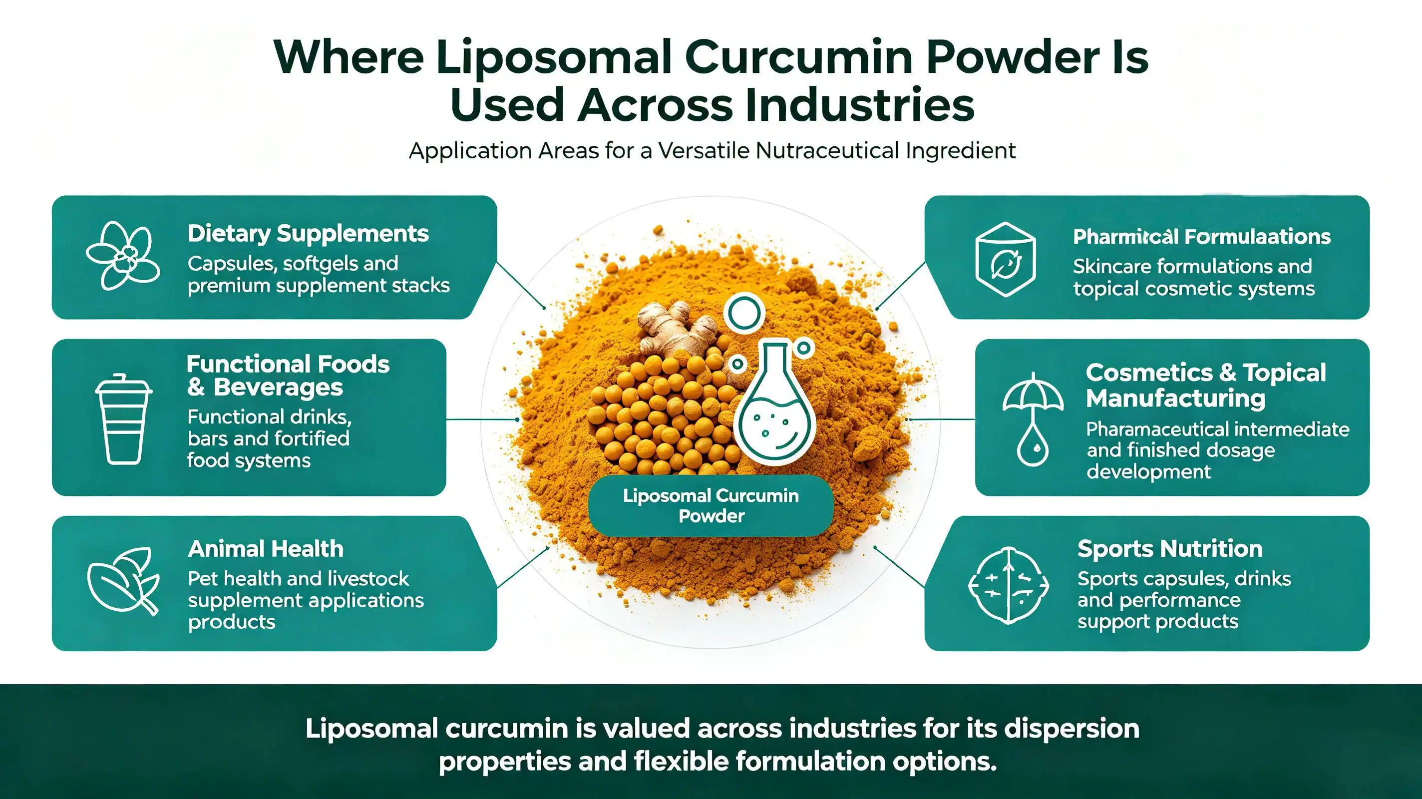  Liposomal Curcumin Powder Is Used Across Industries