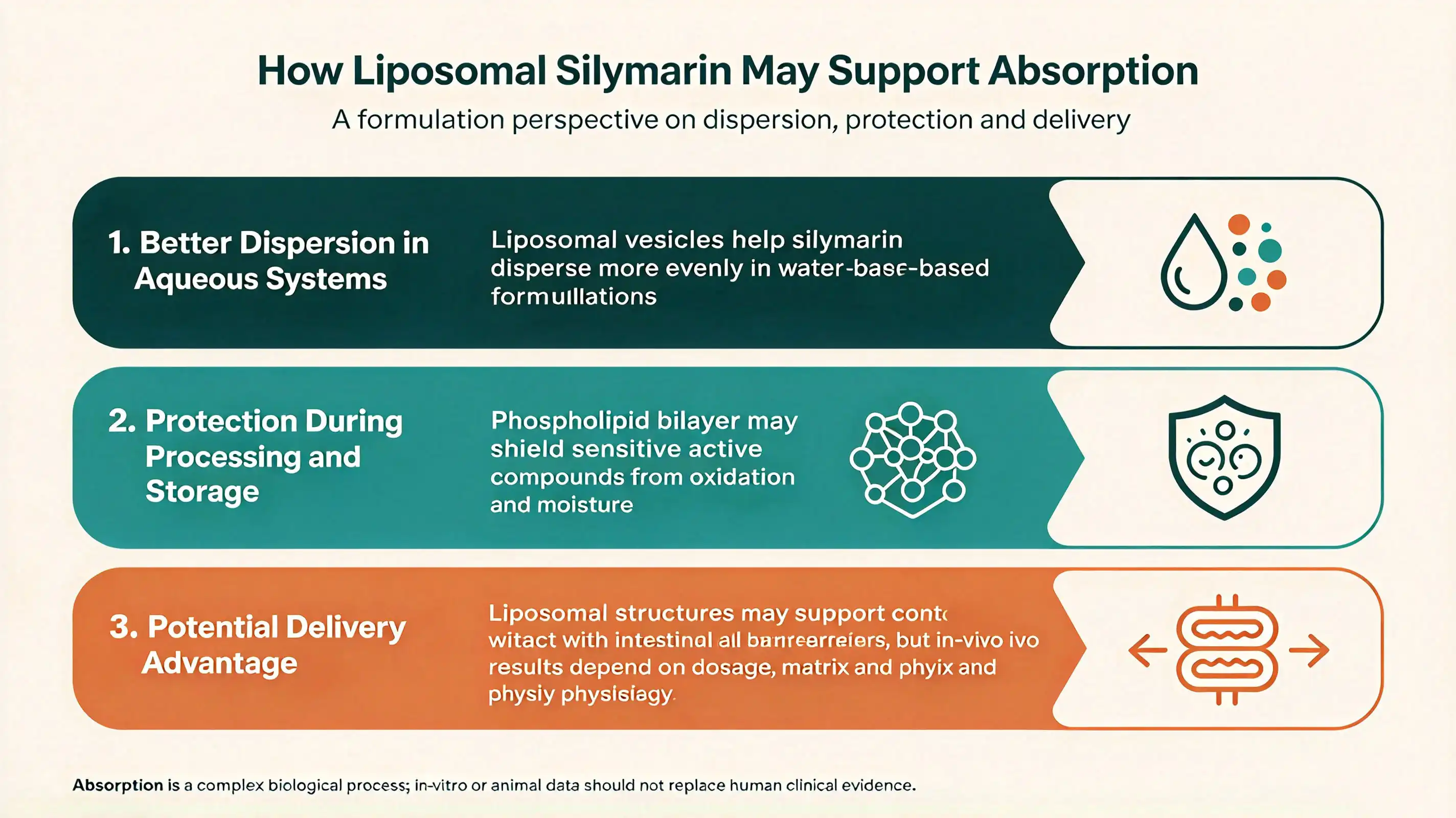 How Can Liposomal Silymarin Powder Improve Absorption? How Can Liposomal Silymarin Powder Improve Absorption?